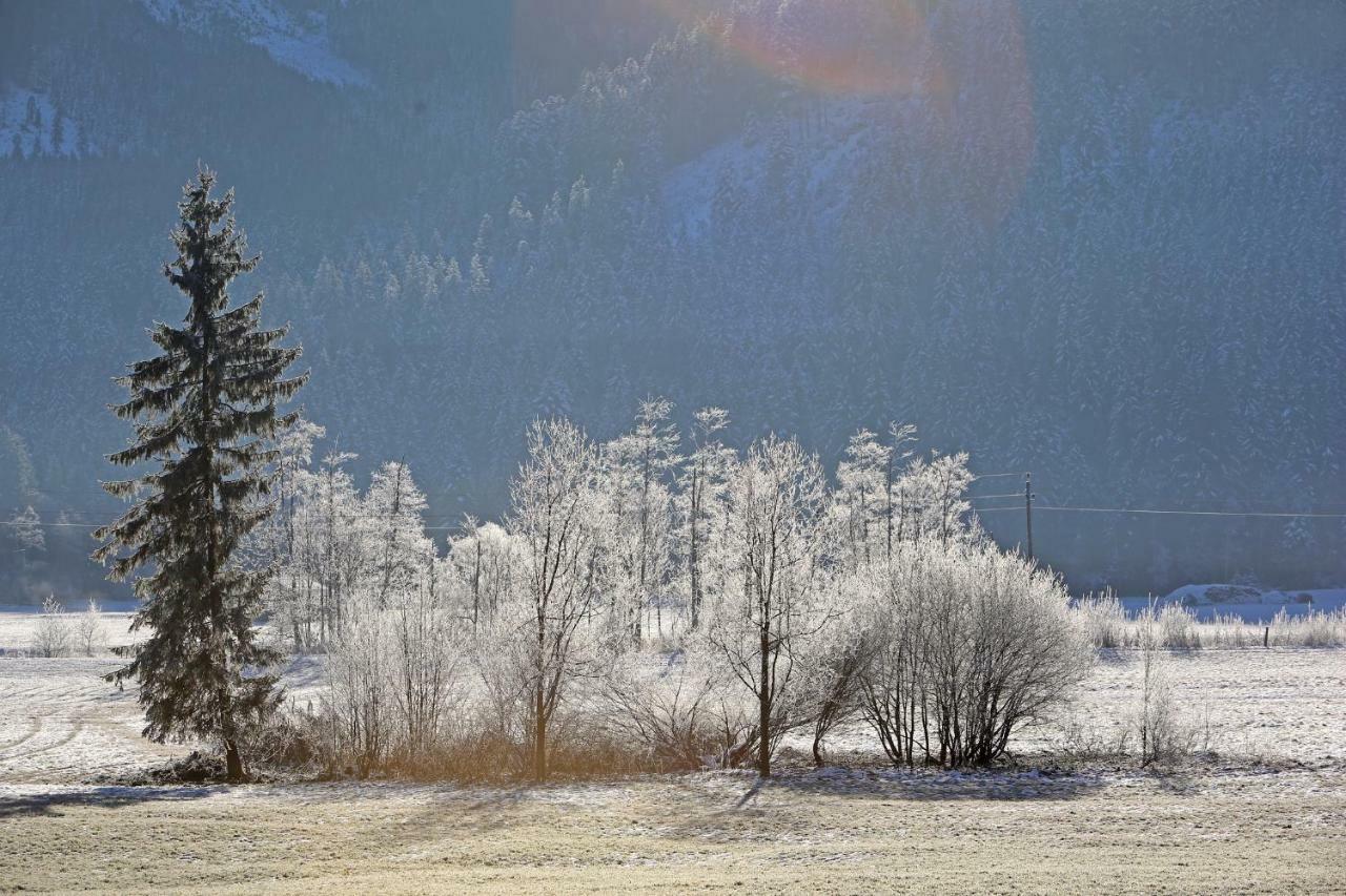 Ferienwohnungen Hager Gosau Exterior foto
