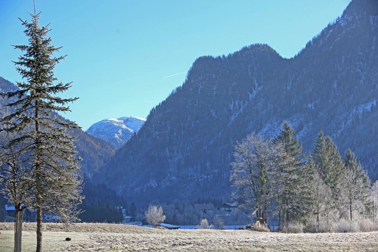 Ferienwohnungen Hager Gosau Exterior foto